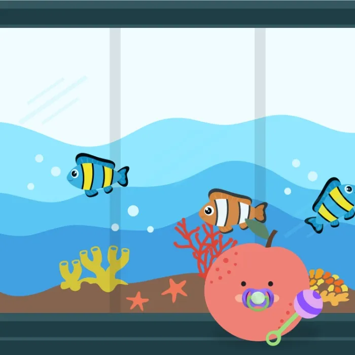 BB Fruit Growth & Skills | Year long aquarium membership