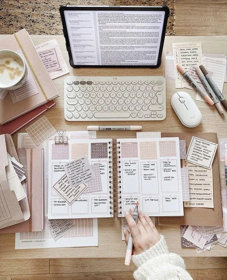 Semester Essentials 🎓