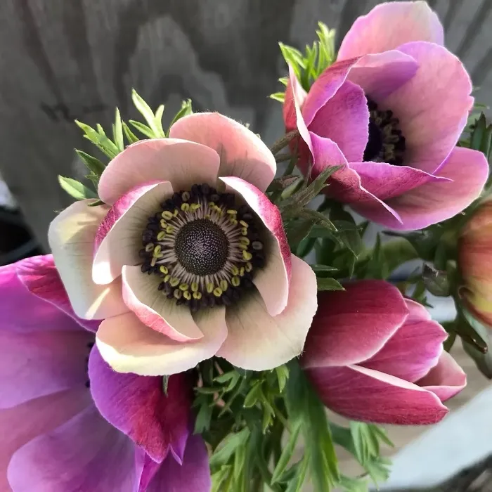 Flower Fund