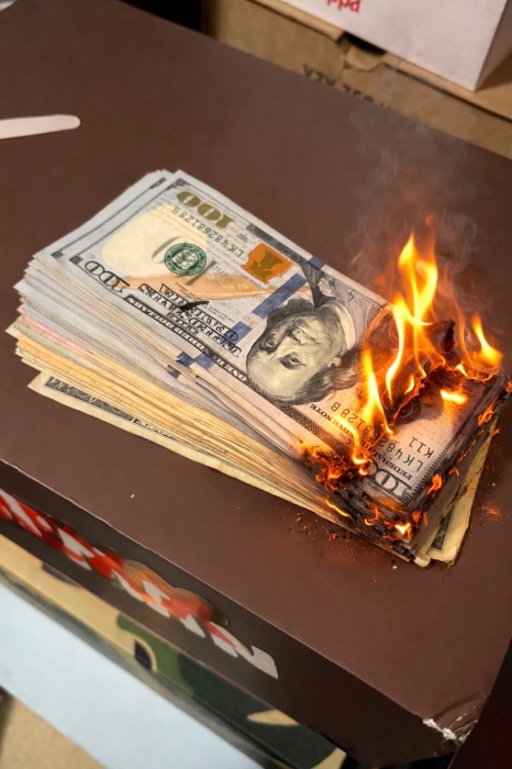 Burn your money id1ot