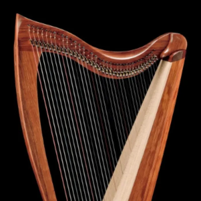 Nylon String Set for Harp with Dusty Strings