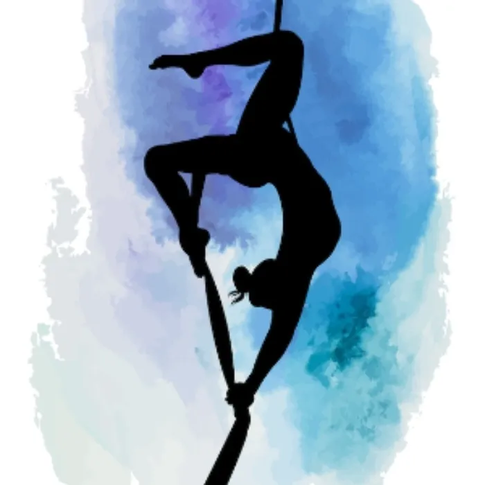 One month of Aerial Lessons 