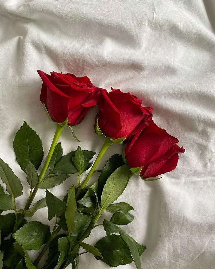 $33 • for red roses