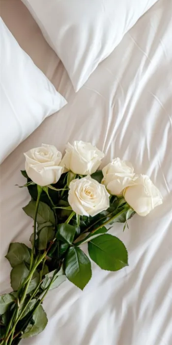 $80 • for white roses