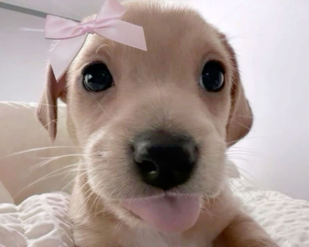 mwah !