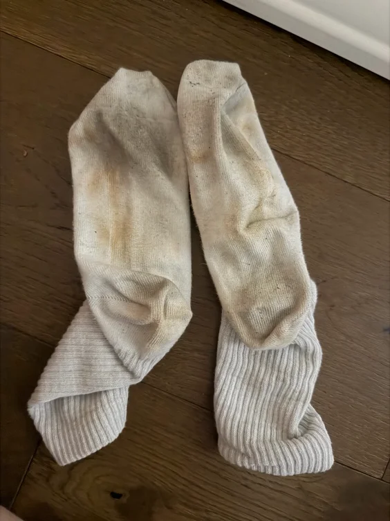 socks! 🧦 ($250)