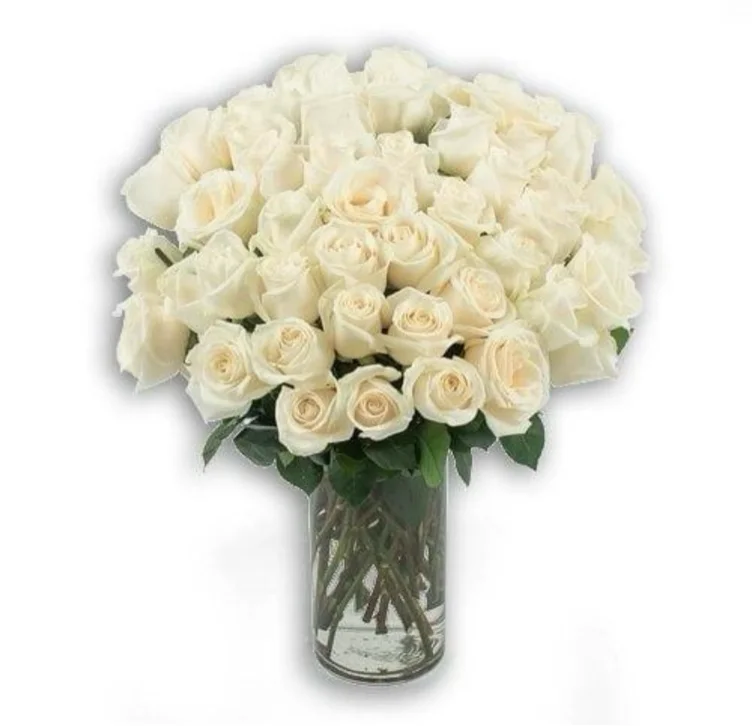 50 White Roses