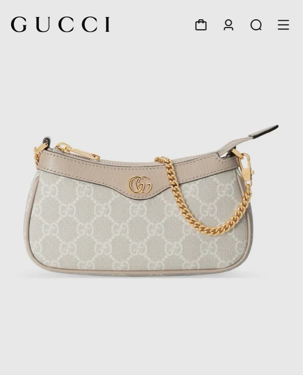 Gucci Bag Ophidia 