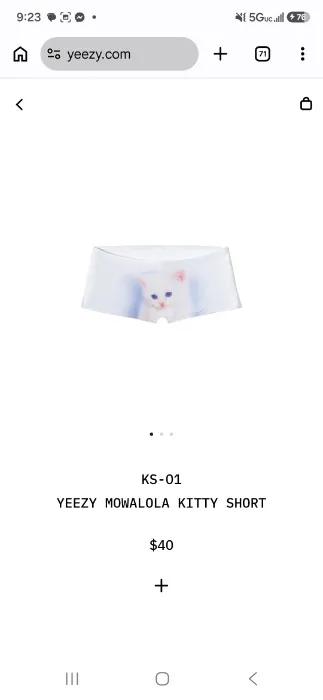 Yeezy Kitten Panties