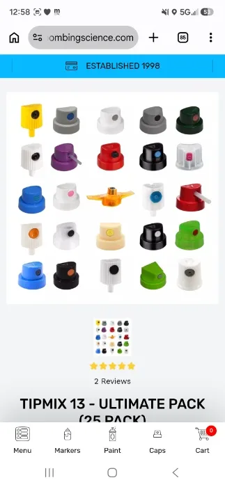 25 pack Caps for painting