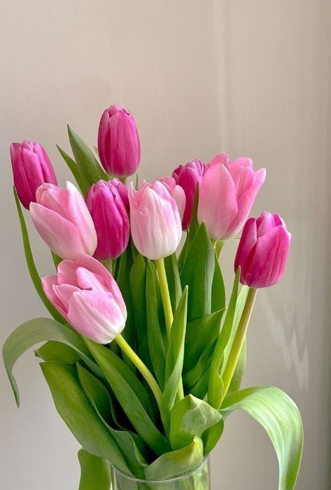 flowers💐