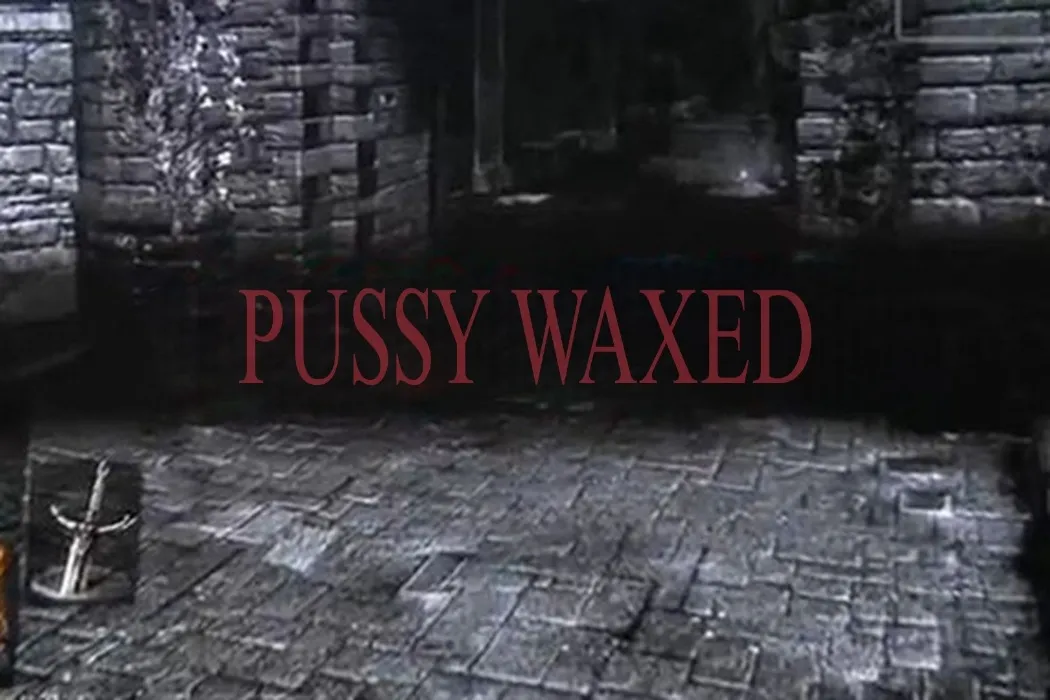 Sponsor My Fresh Kitty Waxing