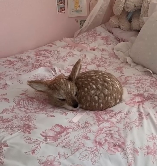 tiny tip <3