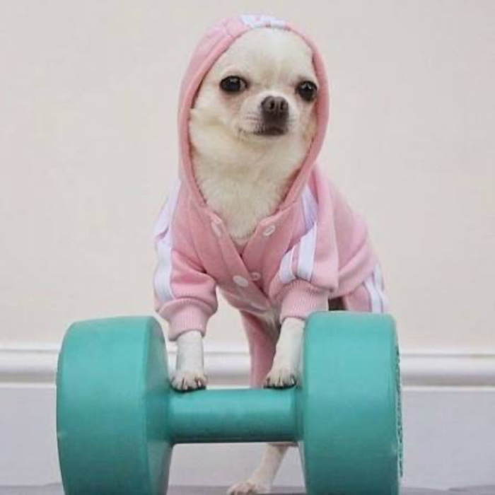 gym membership