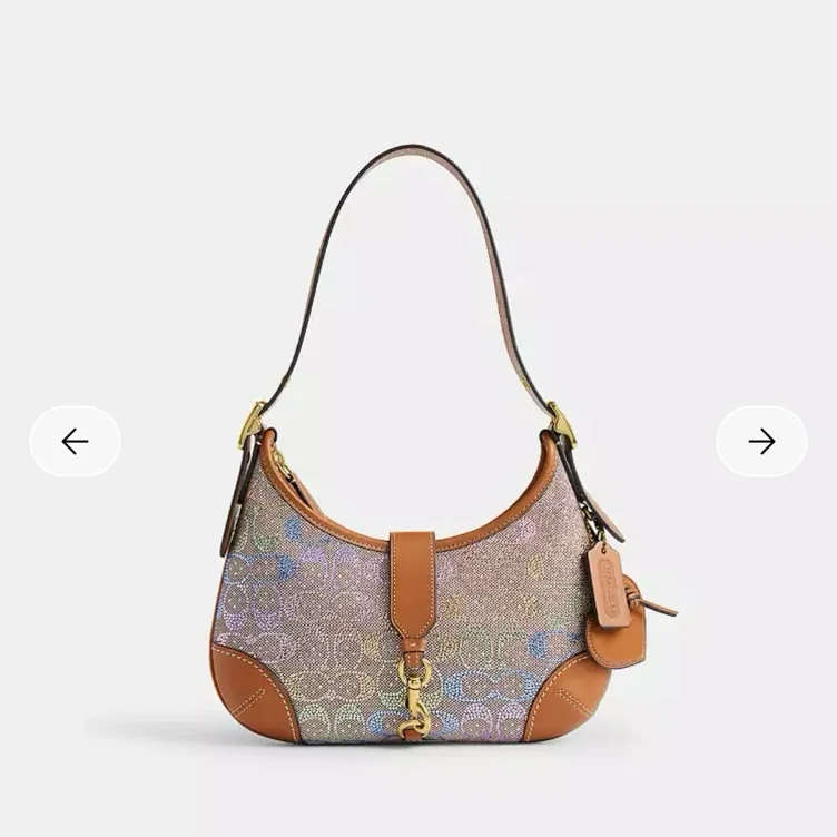 Rainbow coach purse 