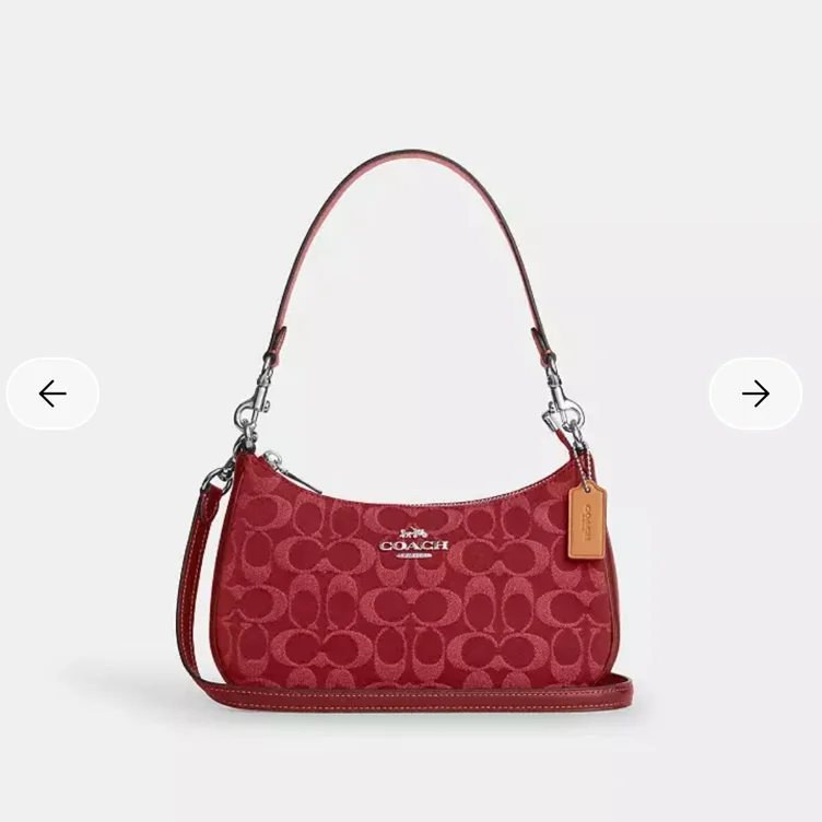 coach bag 👜