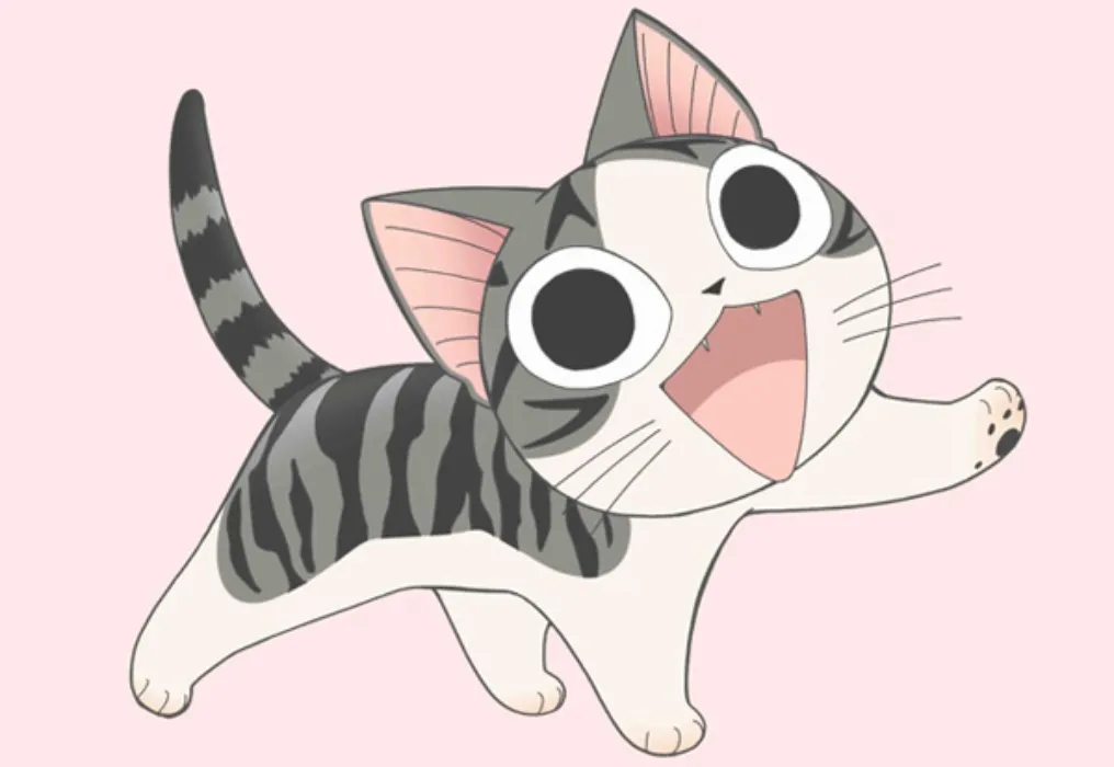 kitty care fund
