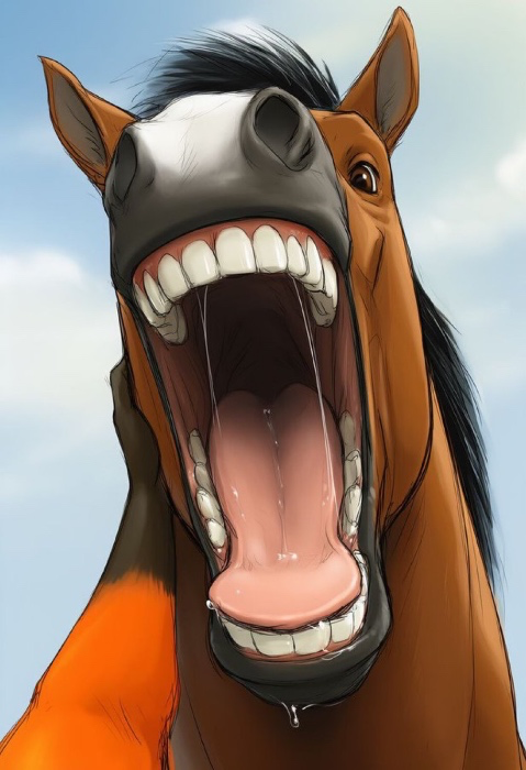 Horse Food