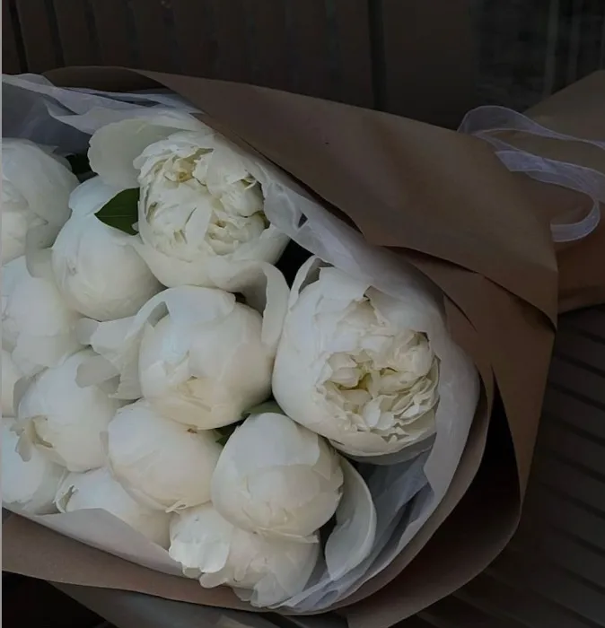 Fresh flowers 