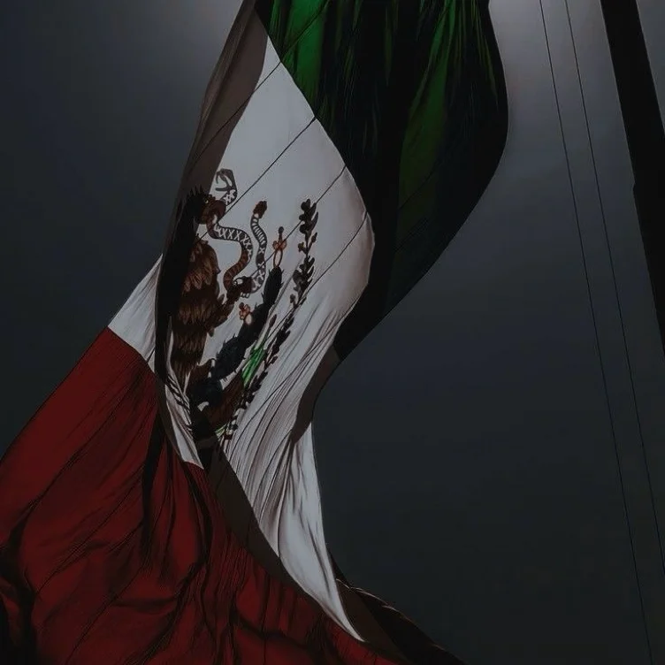 ⋅˚₊‧ Mexico ‧₊˚ ⋅