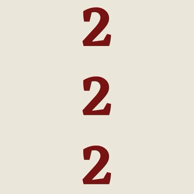 ˚₊‧ 222 ‧₊˚