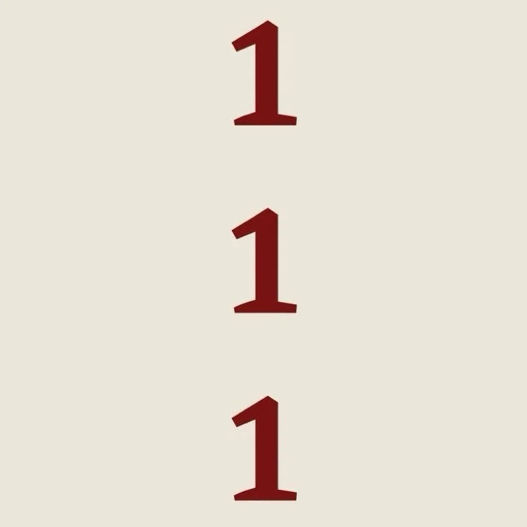 ˚₊‧ 111 ‧₊˚