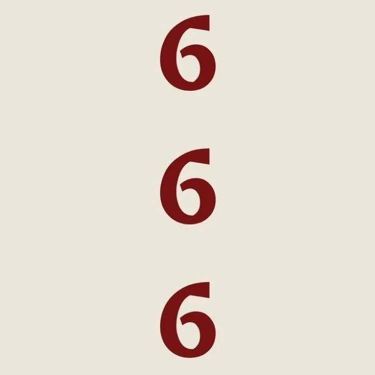 ˚₊‧ 666 ‧₊˚
