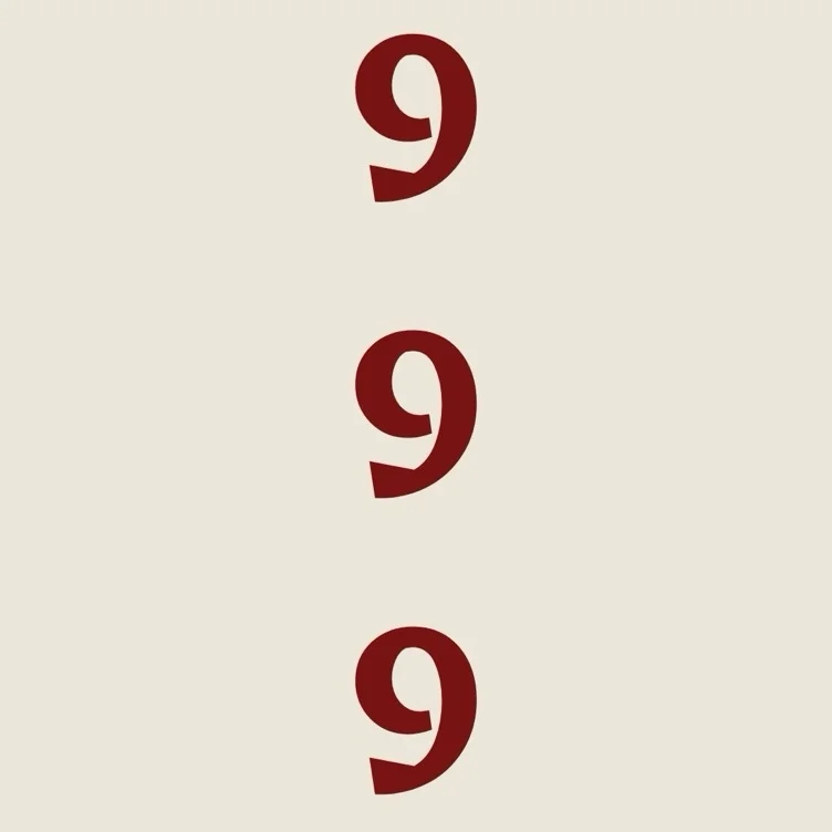 ˚₊‧ 999 ‧₊˚