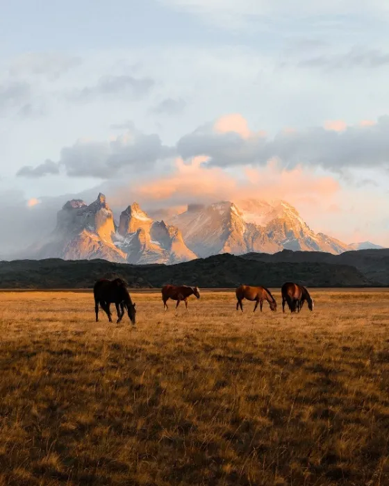 PATAGONIA TRIP  |  2027