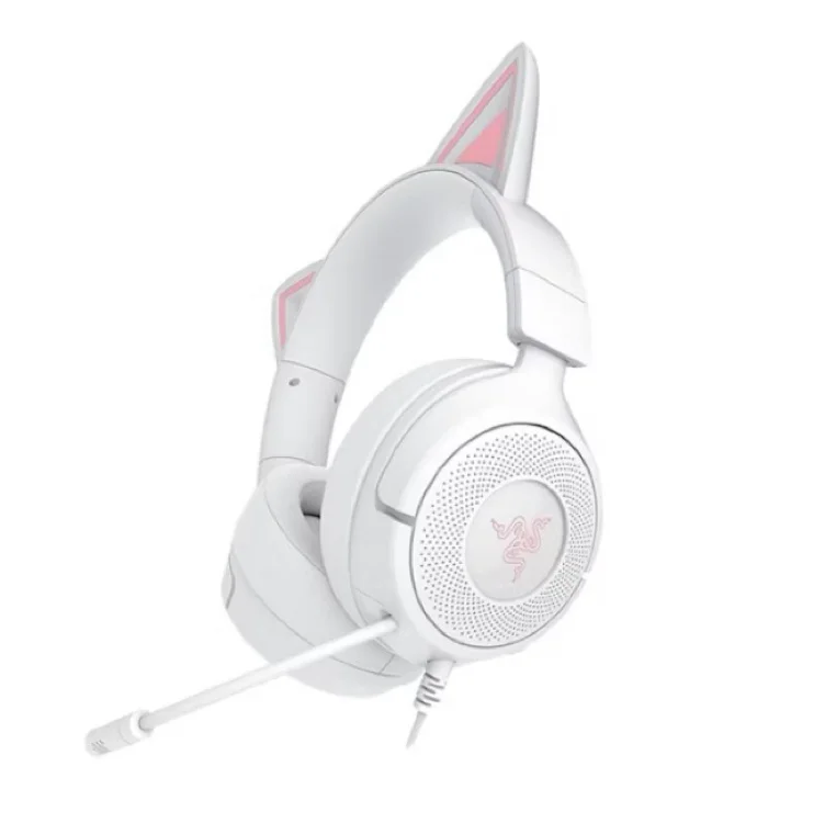 Cat headphones 