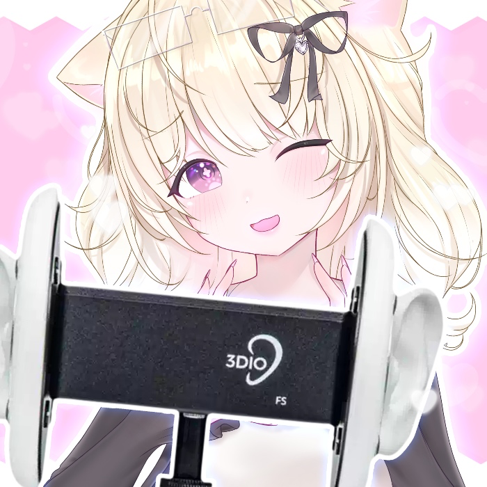 Funding for 3DIO Mic!♡ 