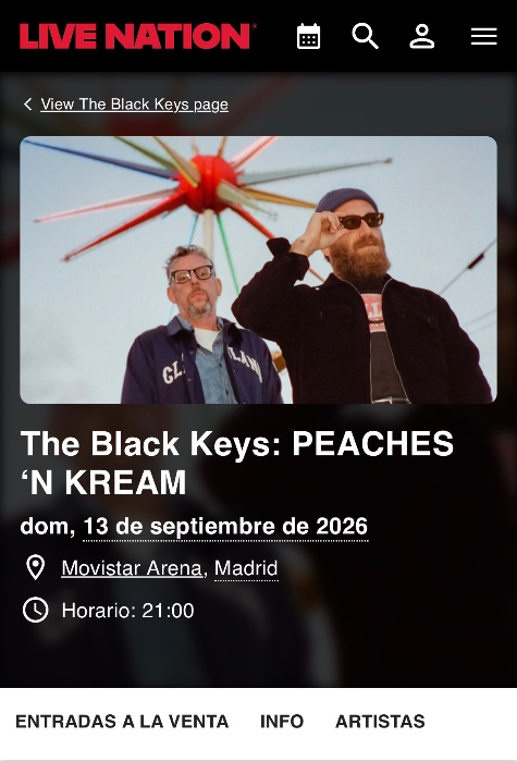 The Black Keys concert