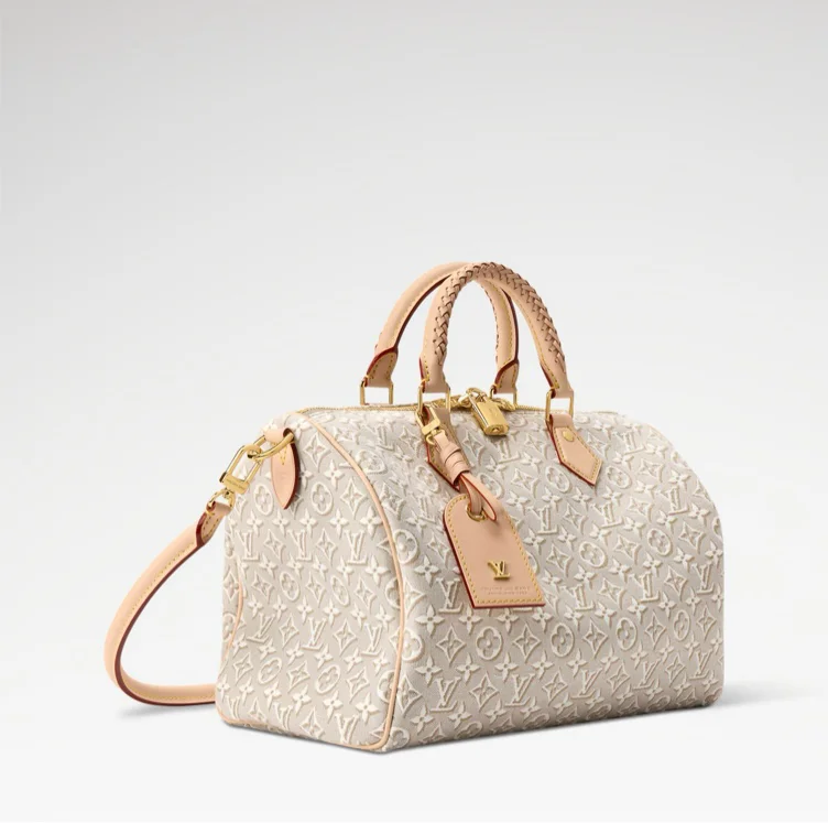 Louis Vuitton speedy soft 30 