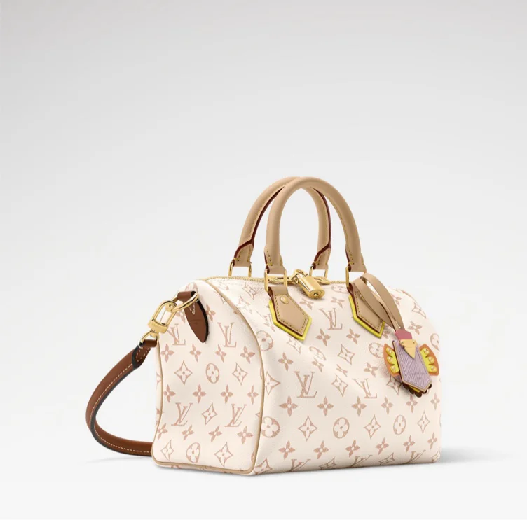 Louis Vuitton speedy 25 