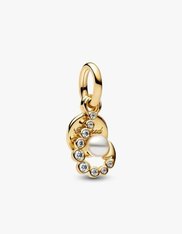 Pandora charm (for my bracelet)