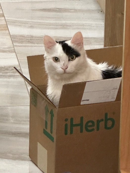 Lol Supplements 🤭