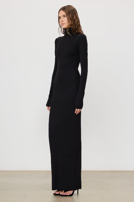 LONG SLEEVE TURTLENECK MAXI DRESS | ÉTERNE 