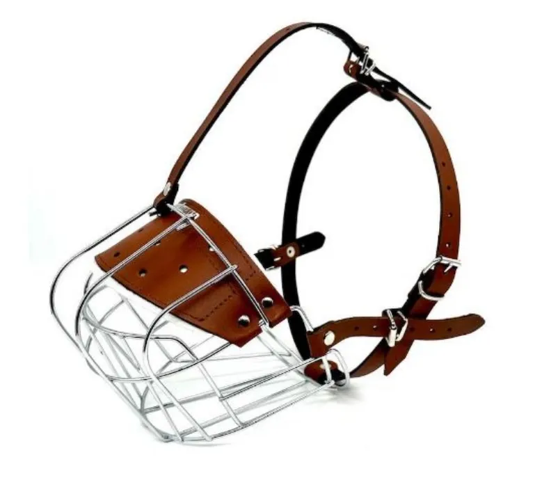 brown puppy muzzle ☆