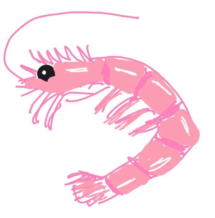  shrimpies ~ i’ll rate, laugh and humiliate ur tiny useless dick