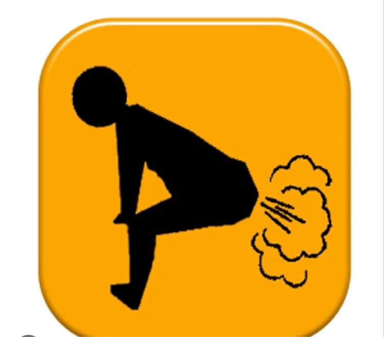 MASTER’S FARTS