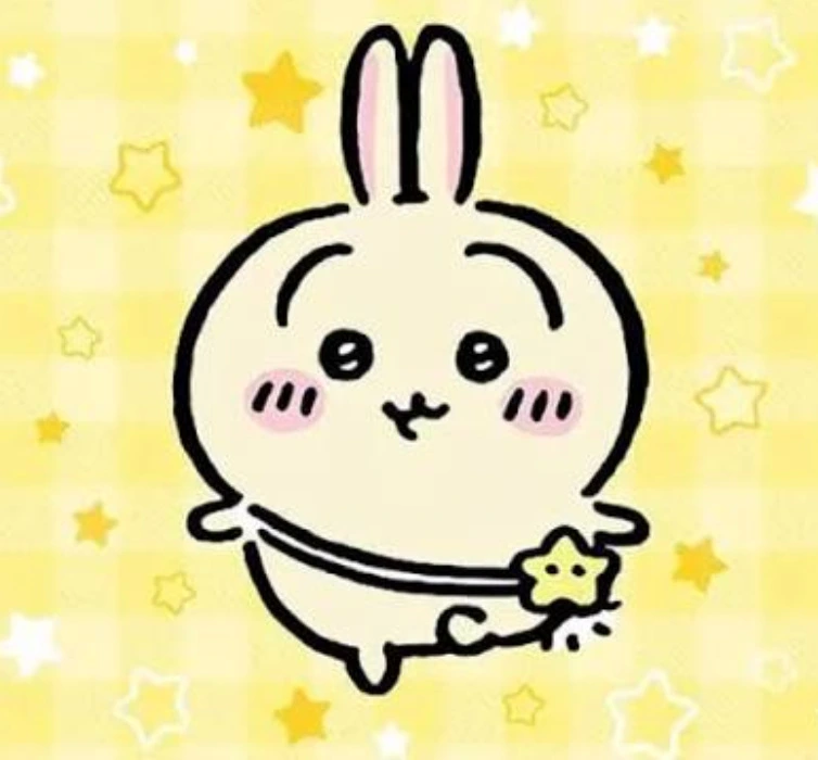 buy me chiikawa (usagi) :3