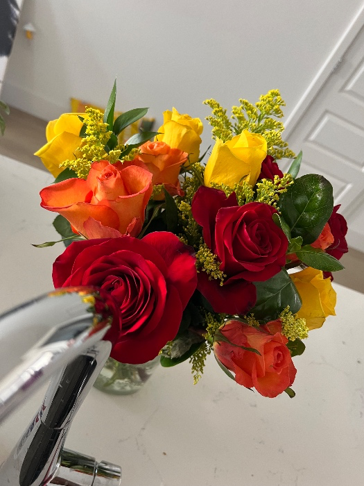 Fresh Cut Flowers 