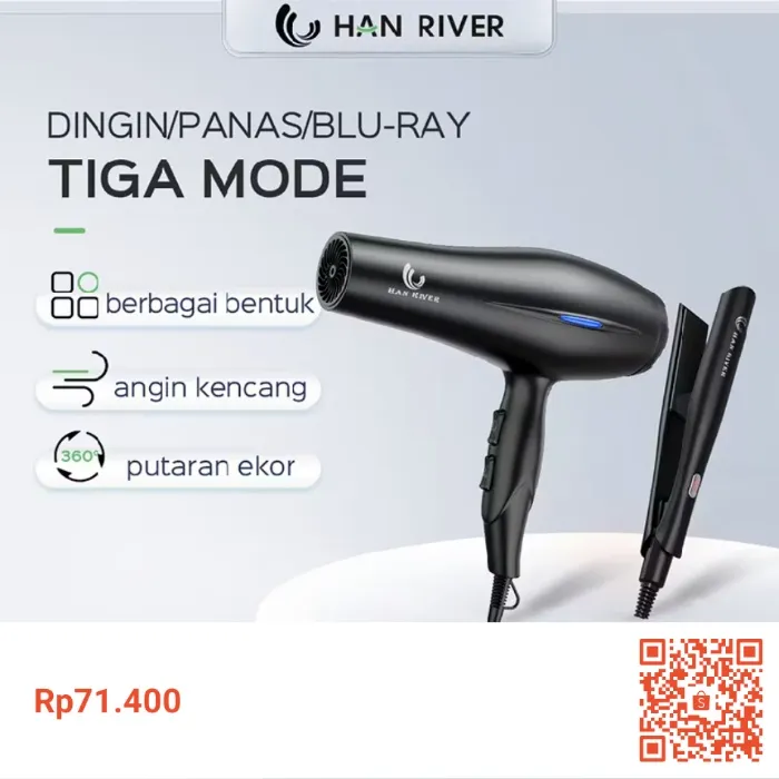 Hair dryer & iron