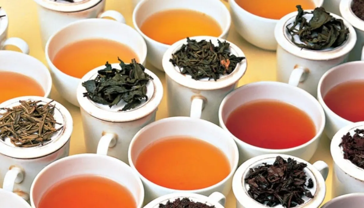 Support my tea fascination - send me to a course