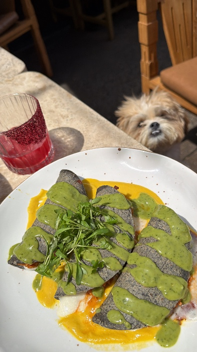 lunch