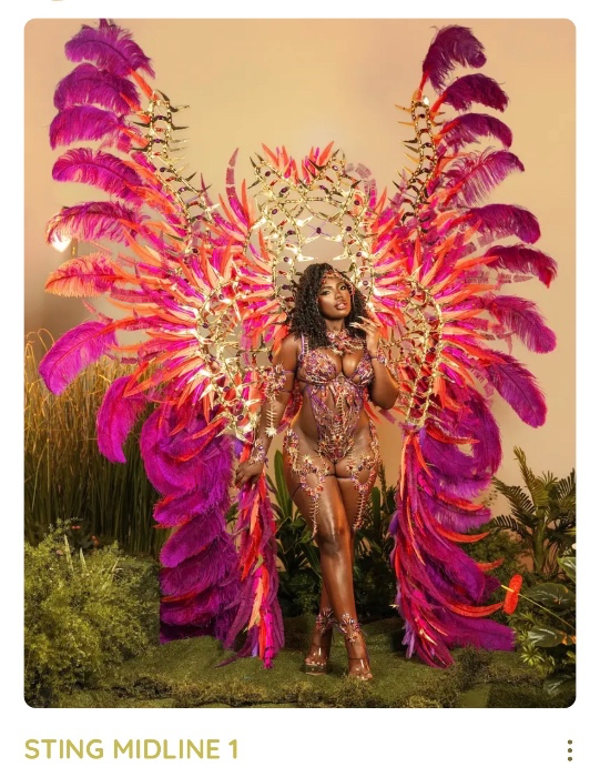Carinval costume 