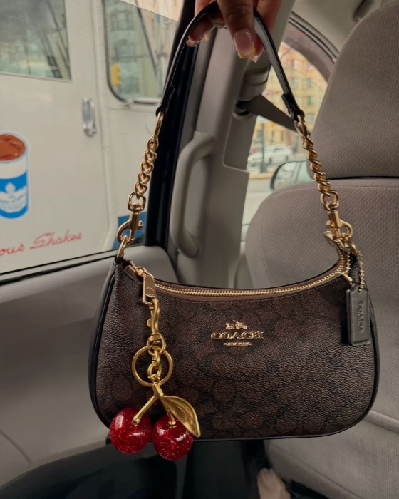 Coach Bag 🍒 