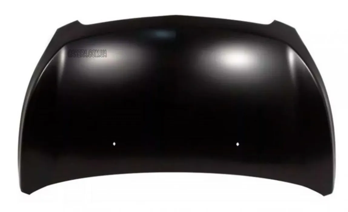 CAR HOOD