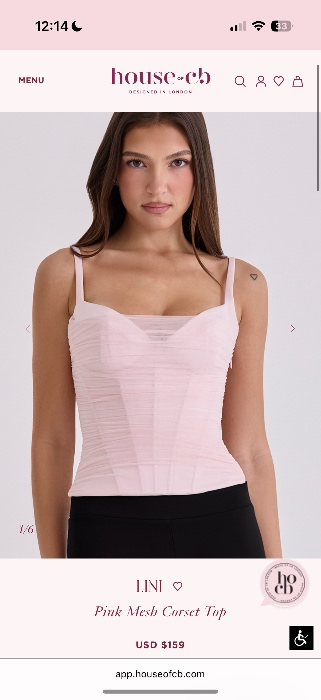 Lini Pink Mesh Corset Top