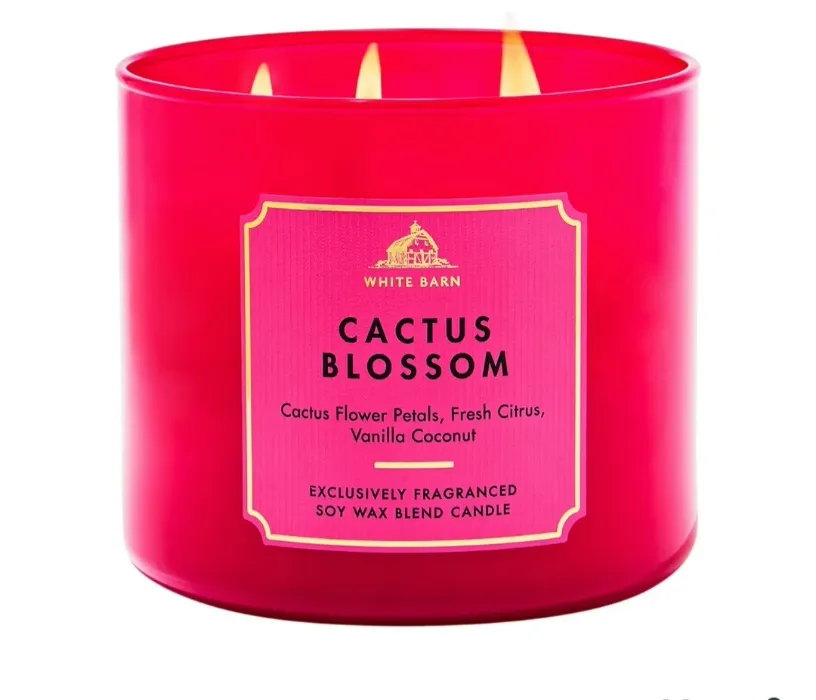 Bath & Body Works Candle 